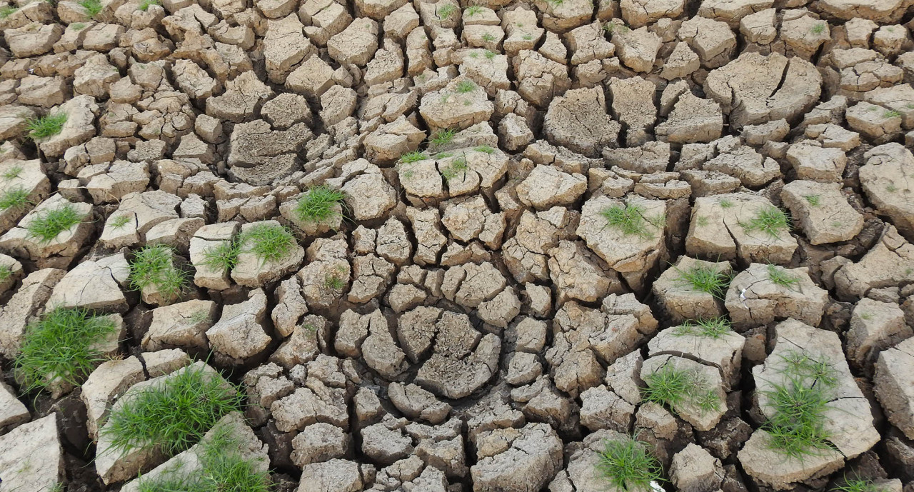 El súper niño: Cuando el clima nos invita actuar de una manera distinta