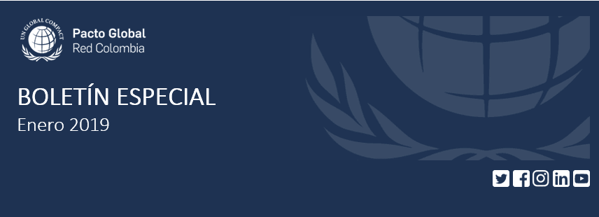Boletín Especial Enero 2019