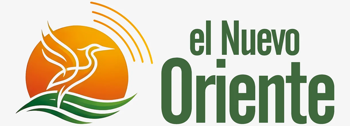 EL NUEVO ORIENTE