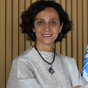 María José Torres Macho