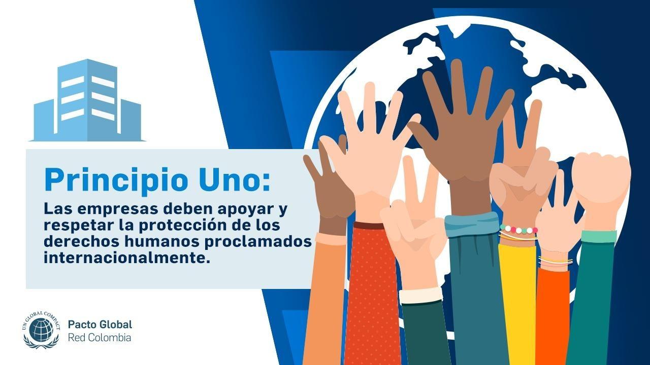 Principio 1 - Pacto Global Red Colombia