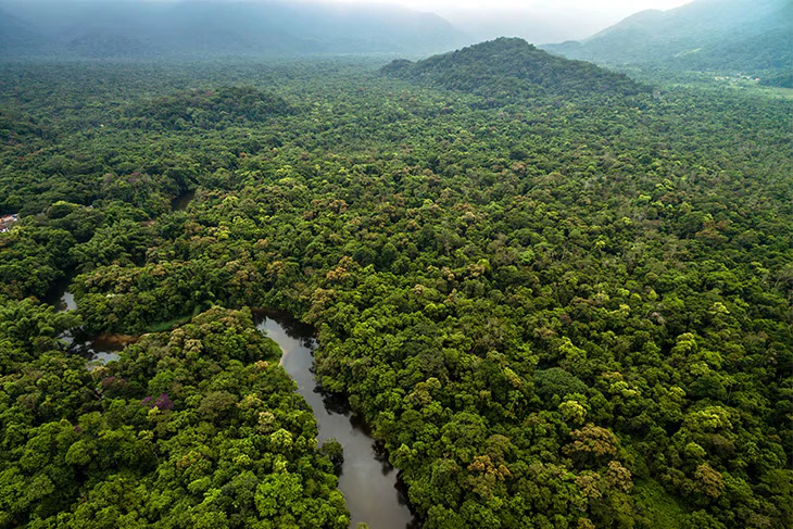 BBVA forestacion colombia carbono latinoamerica sostenibilidad 2a7e1