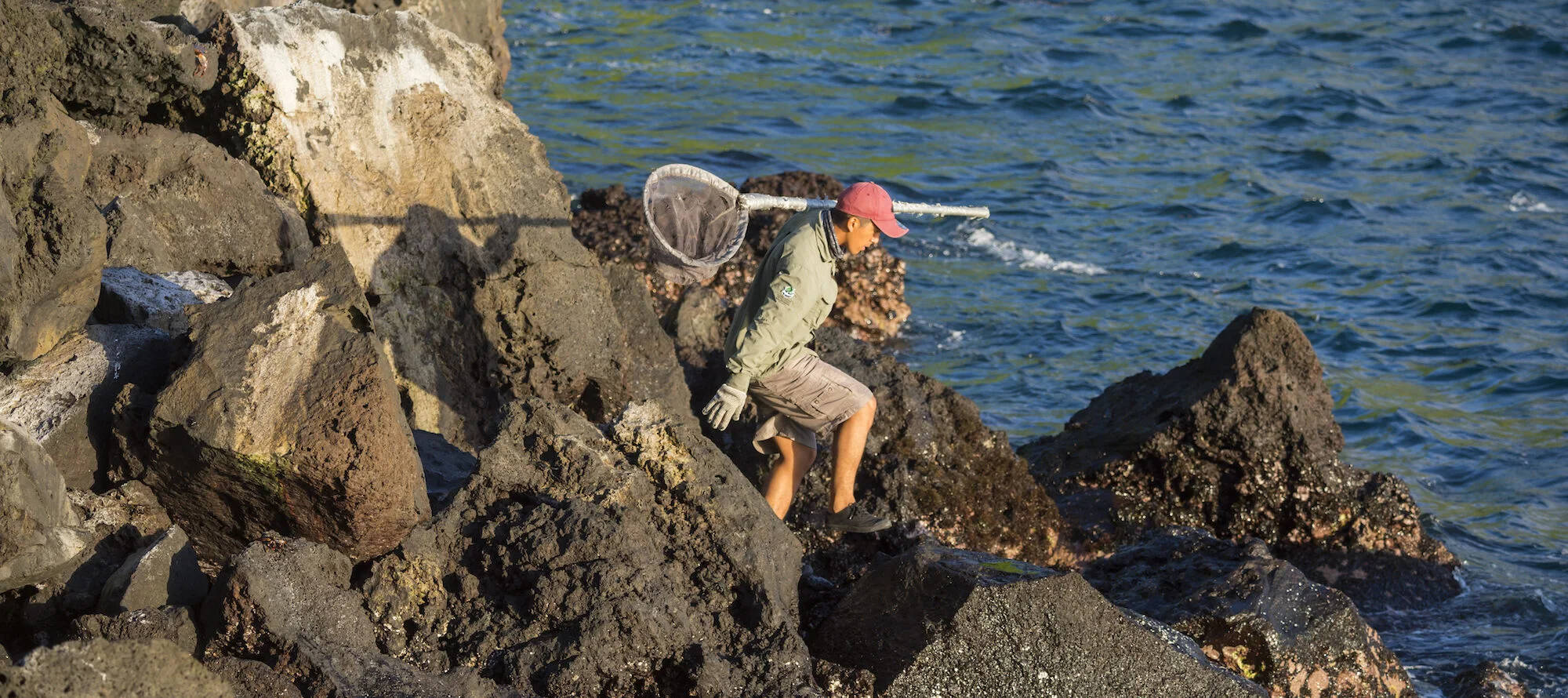 Caleta Iguana Isabela TDR 10 Jul 15 Jean Pierre Cadena Galapagos Ecuador 2000x890 23cf4