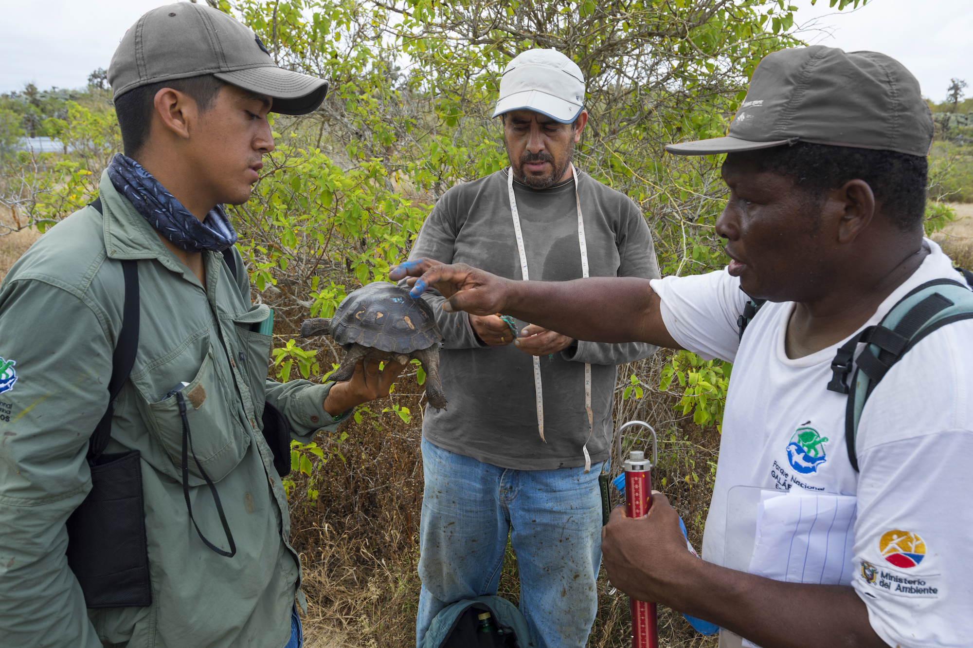 Santa Fe TDR 07 Aug 15 Jean Pierre Cadena Galapagos Ecuador 02049