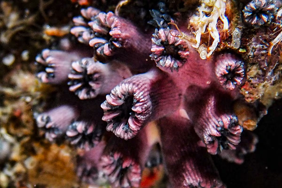 ILLOBAV62ZBOTMAXUKFWC3DQ4I 338d6