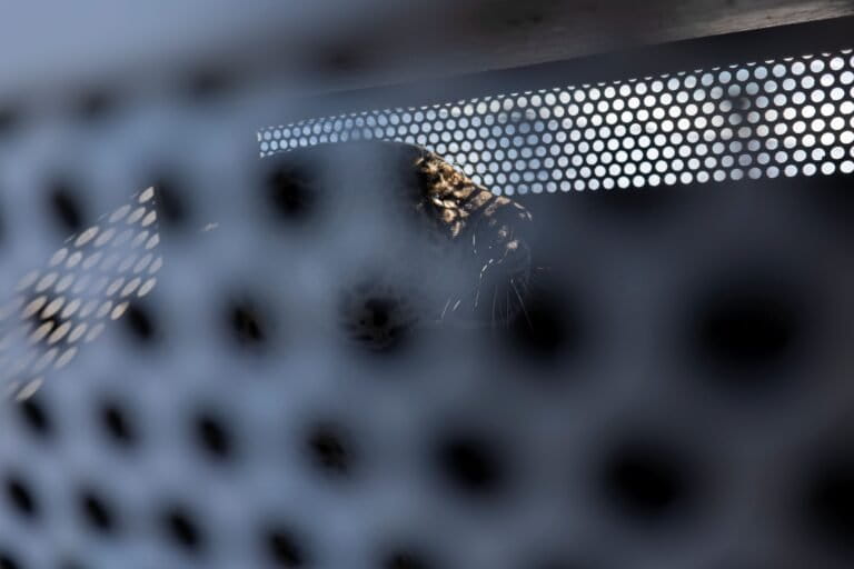 TANIA Sebastian Navajas 768x512 4c04f