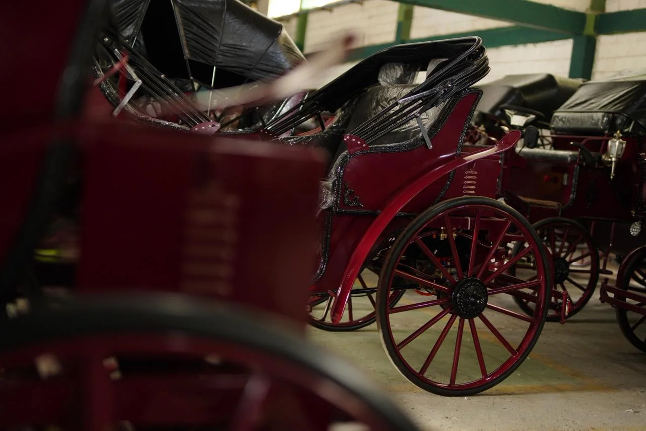 WhatsApp Image 2025 12 04 at 7.48.50 AM 1 3a380