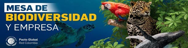 biod 63d2a