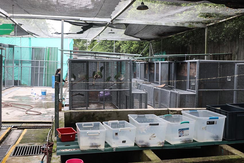 Colombia 2 Contenedores piscinas concreto jaulas tortugas aves felinos Cali Foto Santiago Wills 12799