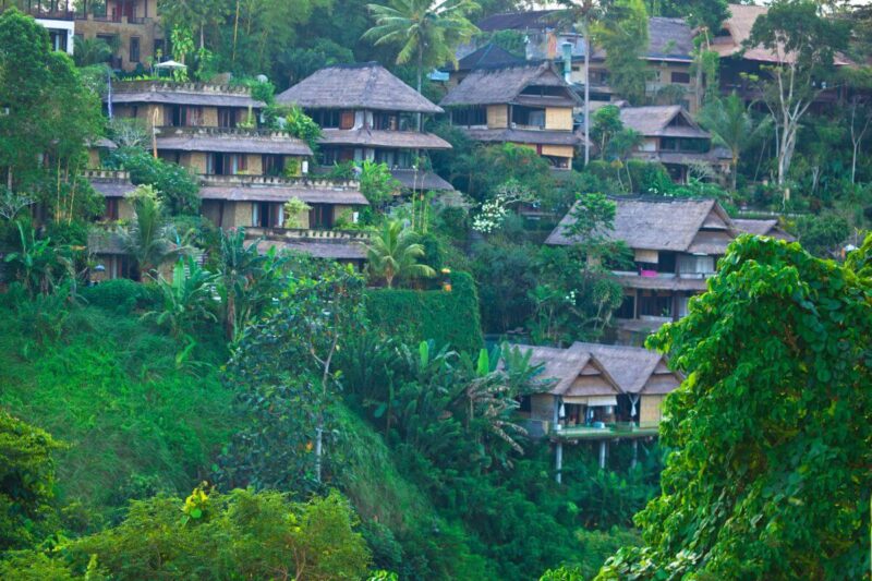 Cuanto dinero necesitas para vivir en Bali como nomada digital 1 800x533 47c0a