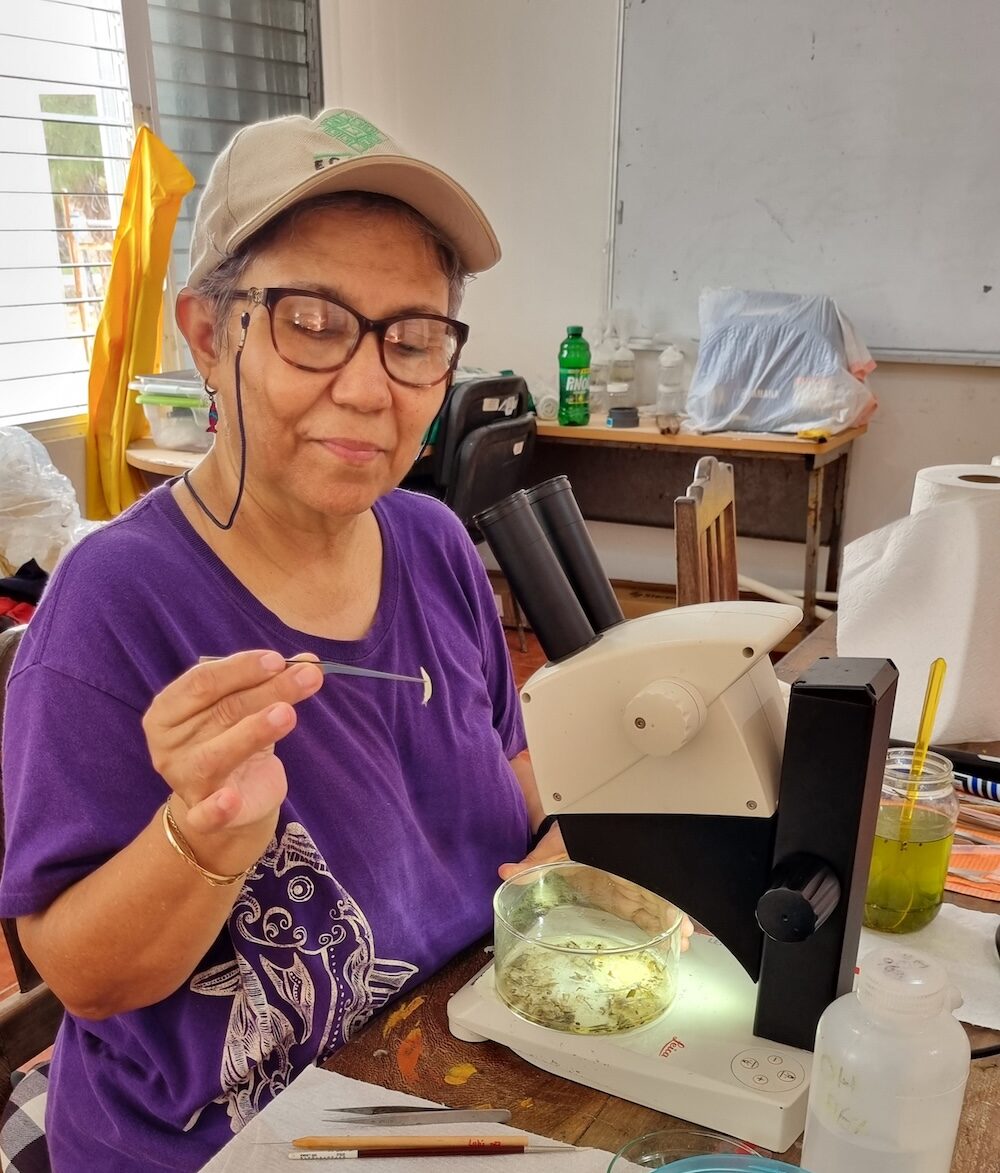 Foto Ashanti Canto PNAX ECO 14 e1770846573244 66802