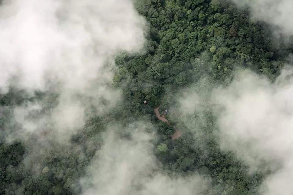 amazonas selva tropical 0 960x640 143a6