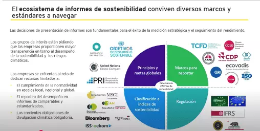 GREENWASHING2 c33fd