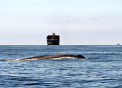 Los puntos negros del mar: los barcos más grandes del mundo amenazan el hábitat de las ballenas