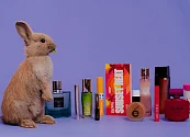 Cuatro datos clave sobre los productos de belleza libres de crueldad animal