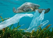 Cientifícos japoneses crean el primer plástico que se disuelve en contacto con el agua en pocas horas