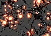El impacto empresarial de la neuroinclusión: más innovación, evolución, productividad y retención de talento