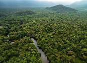 BBVA Colombia e IFC anuncian emisión del primer bono de biodiversidad del sector financiero
