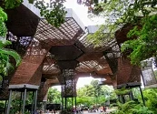 Medellín, el experimento verde que está transformando las Smartcities de América Latina