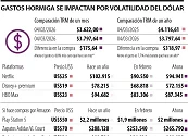 Los gastos hormiga pueden ser hasta 5% más costosos en su comparación mensual