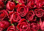 San Valentín sostenible: flores y chocolates con menor huella hídrica