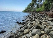Acuerdo global sobre biodiversidad: estos son sus 10 retos principales