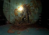 Los zombis de The Last of Us se vuelven "realistas" para los científicos: "El calentamiento global está propagando hongos dañinos"