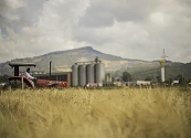 Convocatoria abierta: Bavaria busca 300 agricultores de cebada para incluir en su proceso cervecero