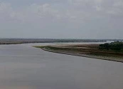 Los peces de agua dulce están teniendo serios problemas para reproducirse