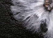 Hongos, una alternativa al plástico para fabricar envases biodegradables