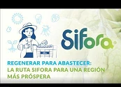 PYMES como motor de la transformación agroalimentaria sostenible: aprendizajes desde la Mesa de Agricultura y Alimentación junto a Sifora