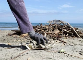 Colombia participará en el encuentro global de Basura Cero en Turquía