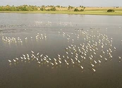Geopark se convierte en la primera compañía en colombia en verificar su huella de agua en todas sus operaciones