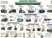 Caracolí lidera la innovación sostenible en el retail, con modelo pionero de mosca soldado negra 