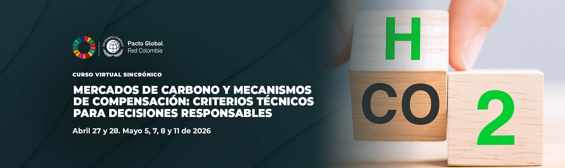 MERCADOS DE CARBONO Y MECANISMOS DE COMPENSACIÓN: CRITERIOS TÉCNICOS PARA DECISIONES RESPONSABLES